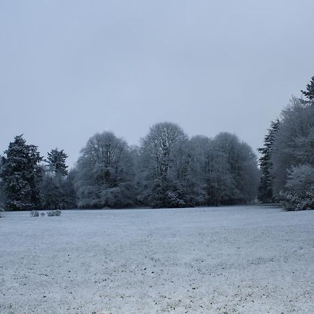 Chateau De Bertreville Bed and Breakfast Buitenkant foto