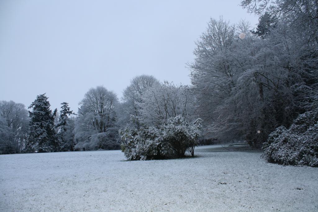 Chateau De Bertreville Bed and Breakfast Buitenkant foto